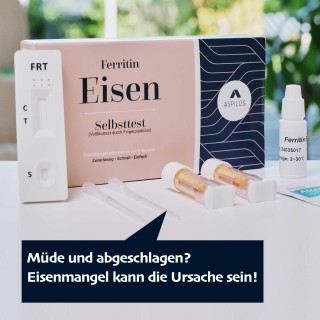 Eisen Bluttest