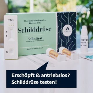 Schilddrüse TSH Test