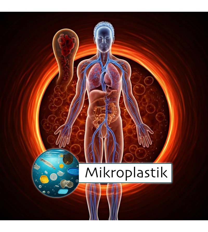 Mikroplastik Belastung testen