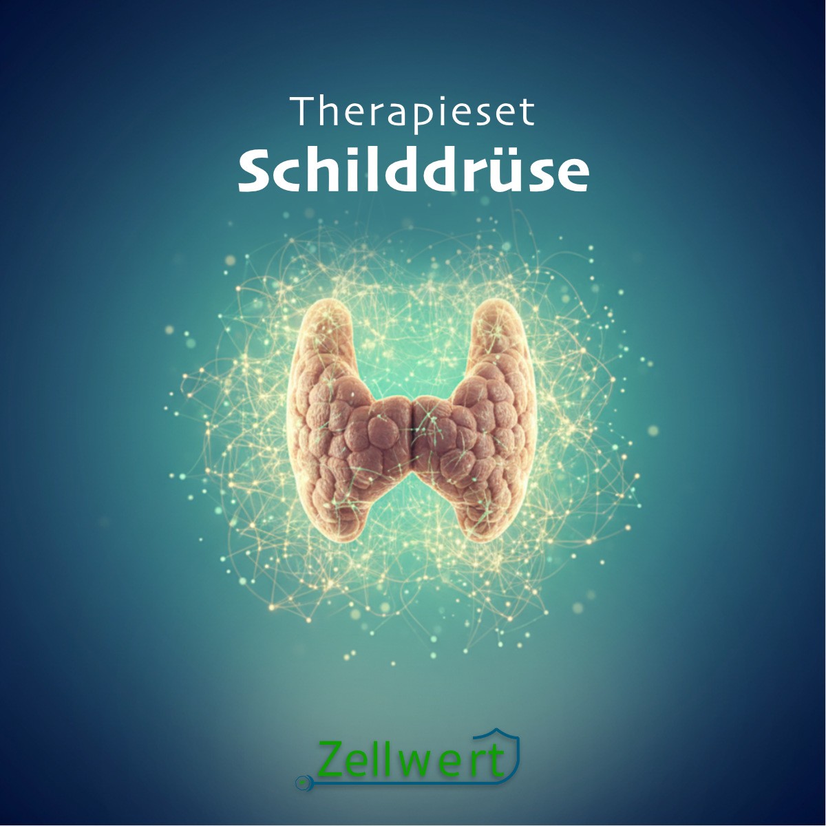 Schilddrüse Kur Set