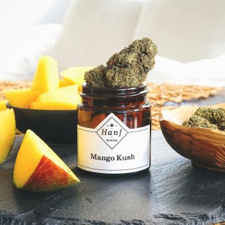 CBD Mango Hanfblüte