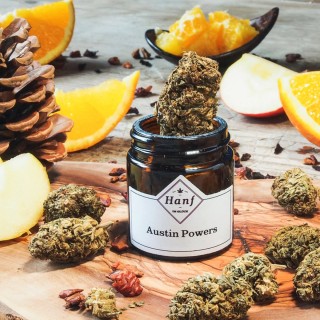 CBD Hanfblüte Austin Power