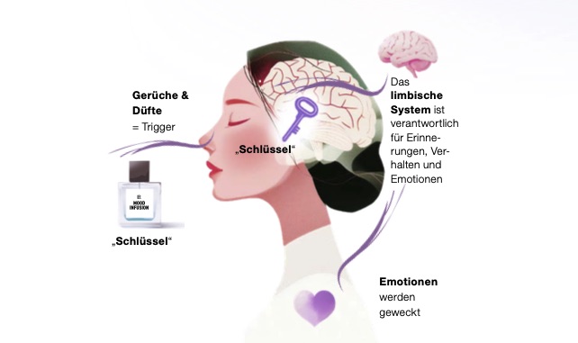 Wie Parfum wirkt