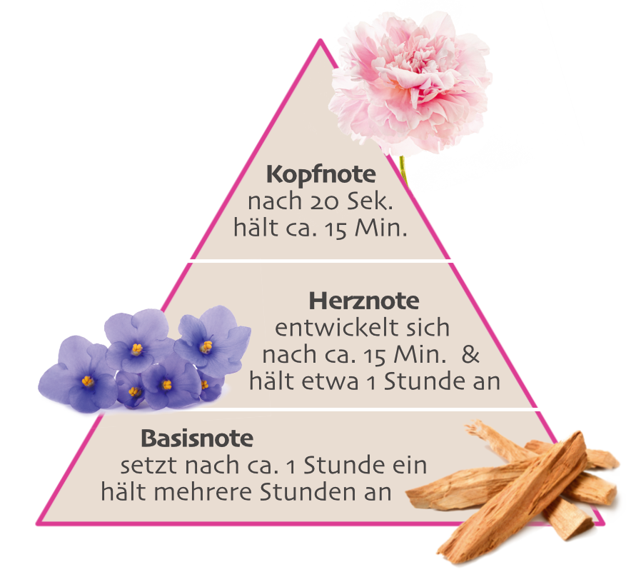 Duftpyramide Entwicklung Parfum