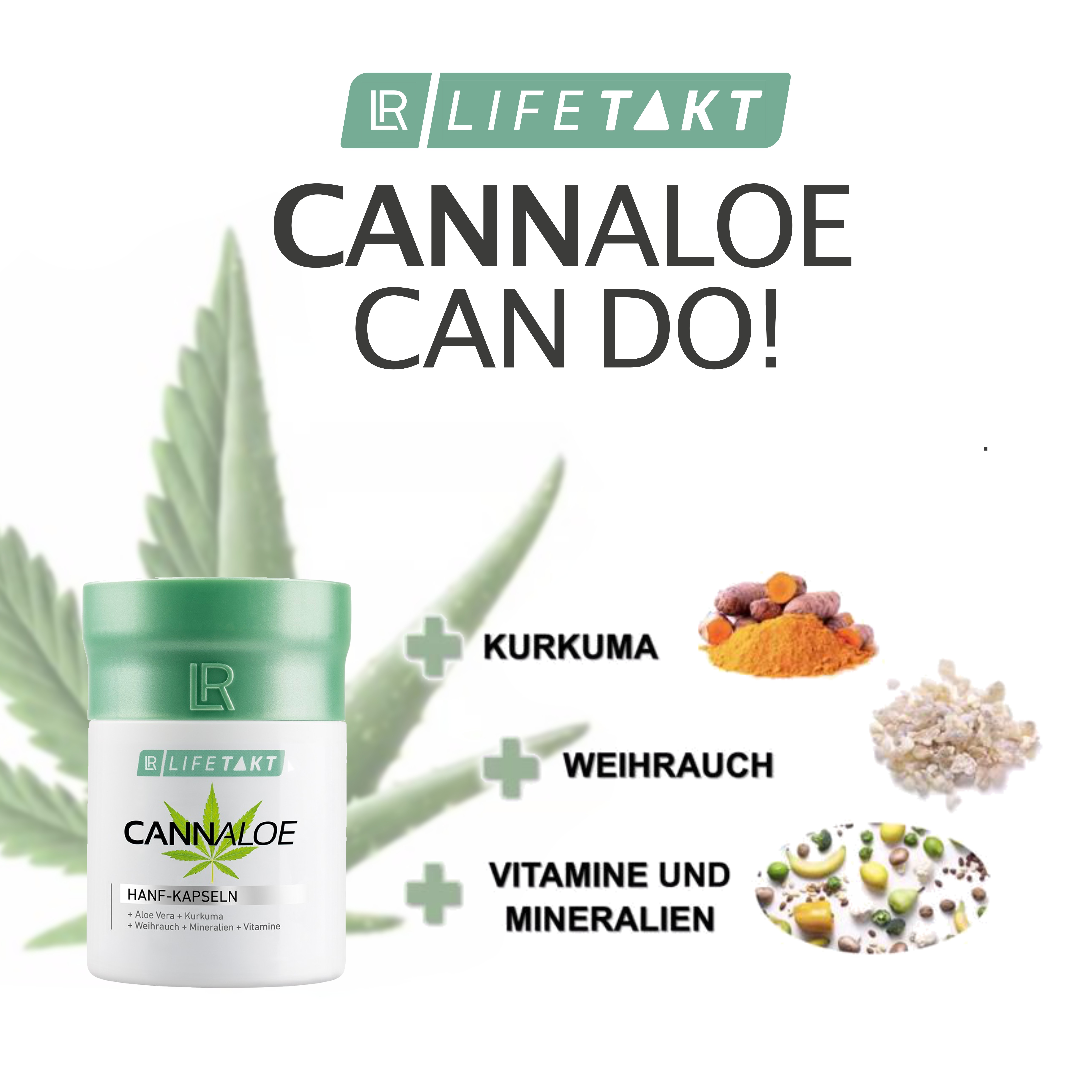 LR Lifetakt Hanf-Kapseln - hochwertiges CBD-Vollspektrum